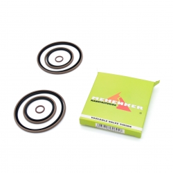 Vanos repair kit BMW M52TU...